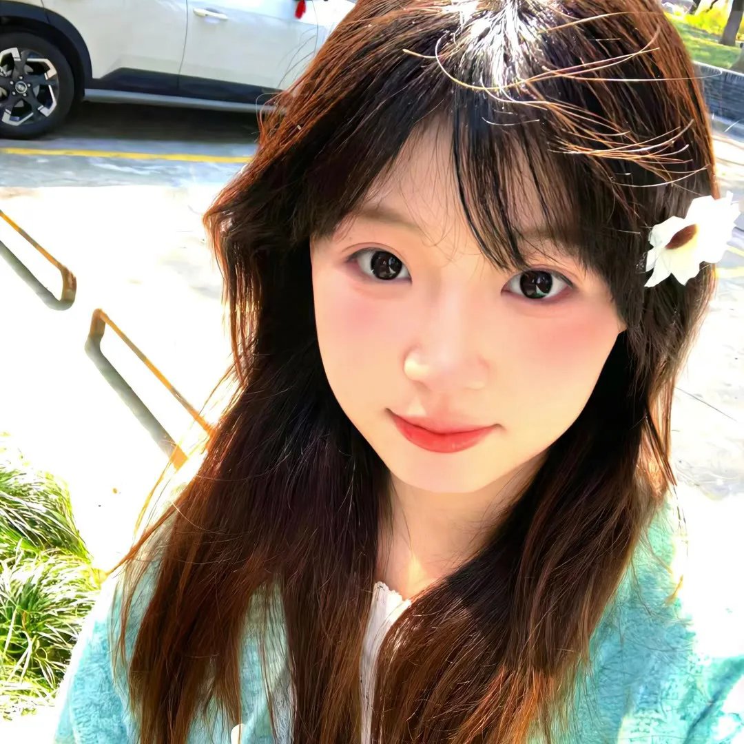 加油七条友
