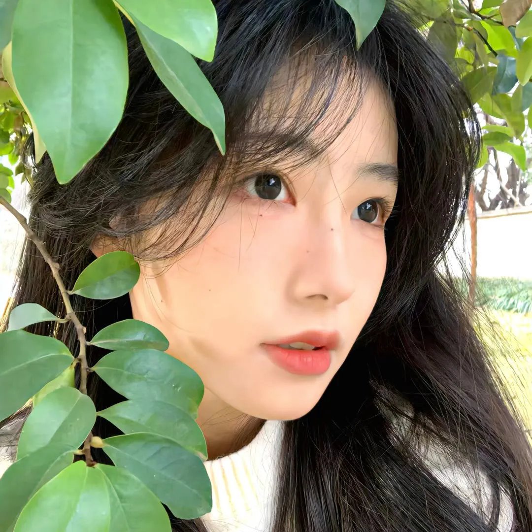 黑色蝴蝶